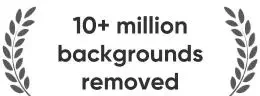 ลบพื้นหลังมากกว่า 10 ล้านภาพ