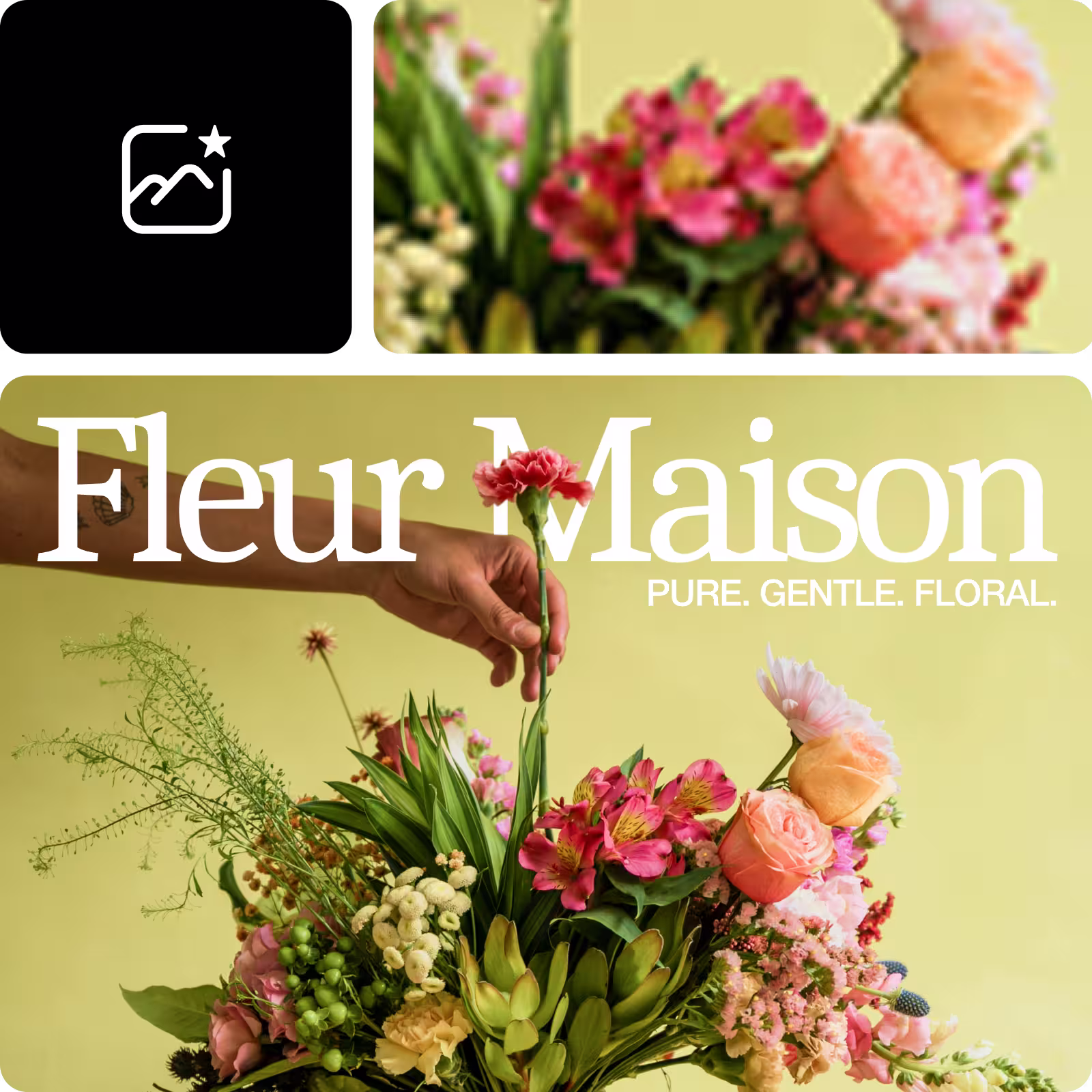 在几秒钟内增强产品图像质量