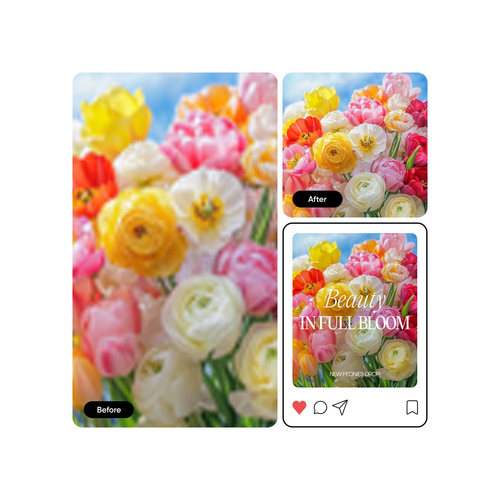 Fastest way to create social media graphics