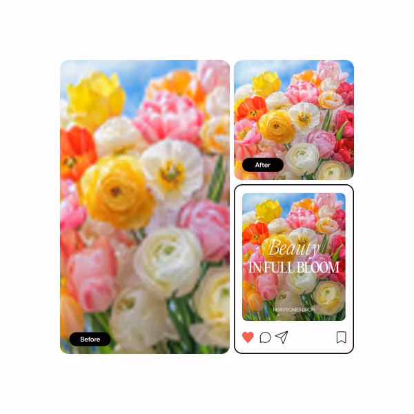 Fastest way to create social media graphics