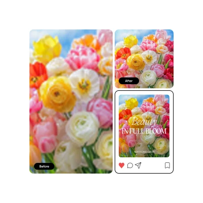 Fastest way to create social media graphics