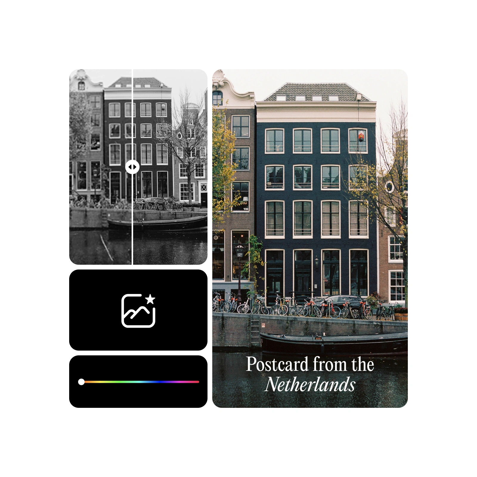 colorize black and white photos