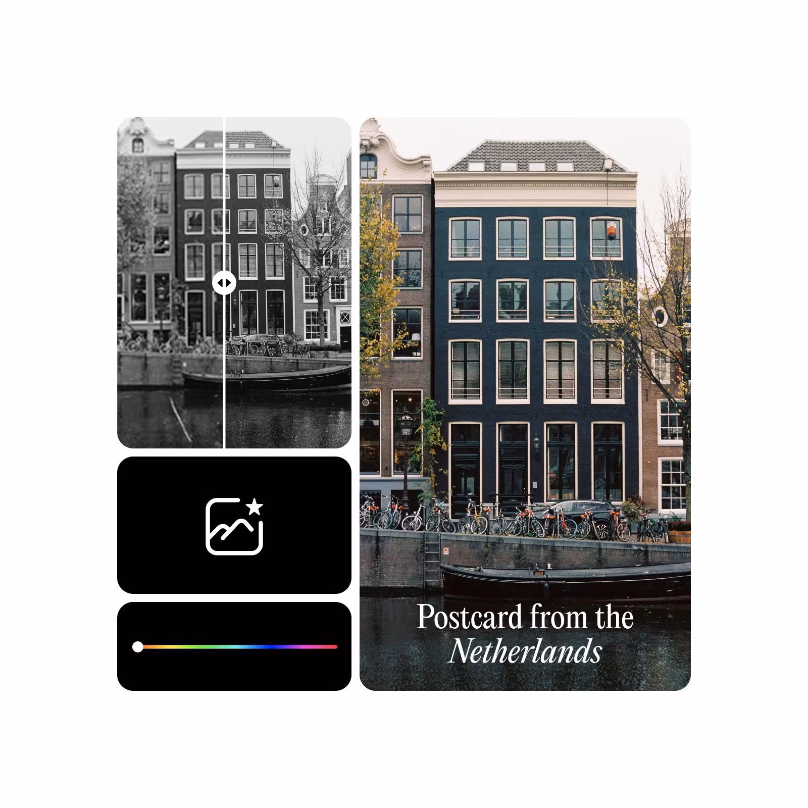 colorize black and white photos