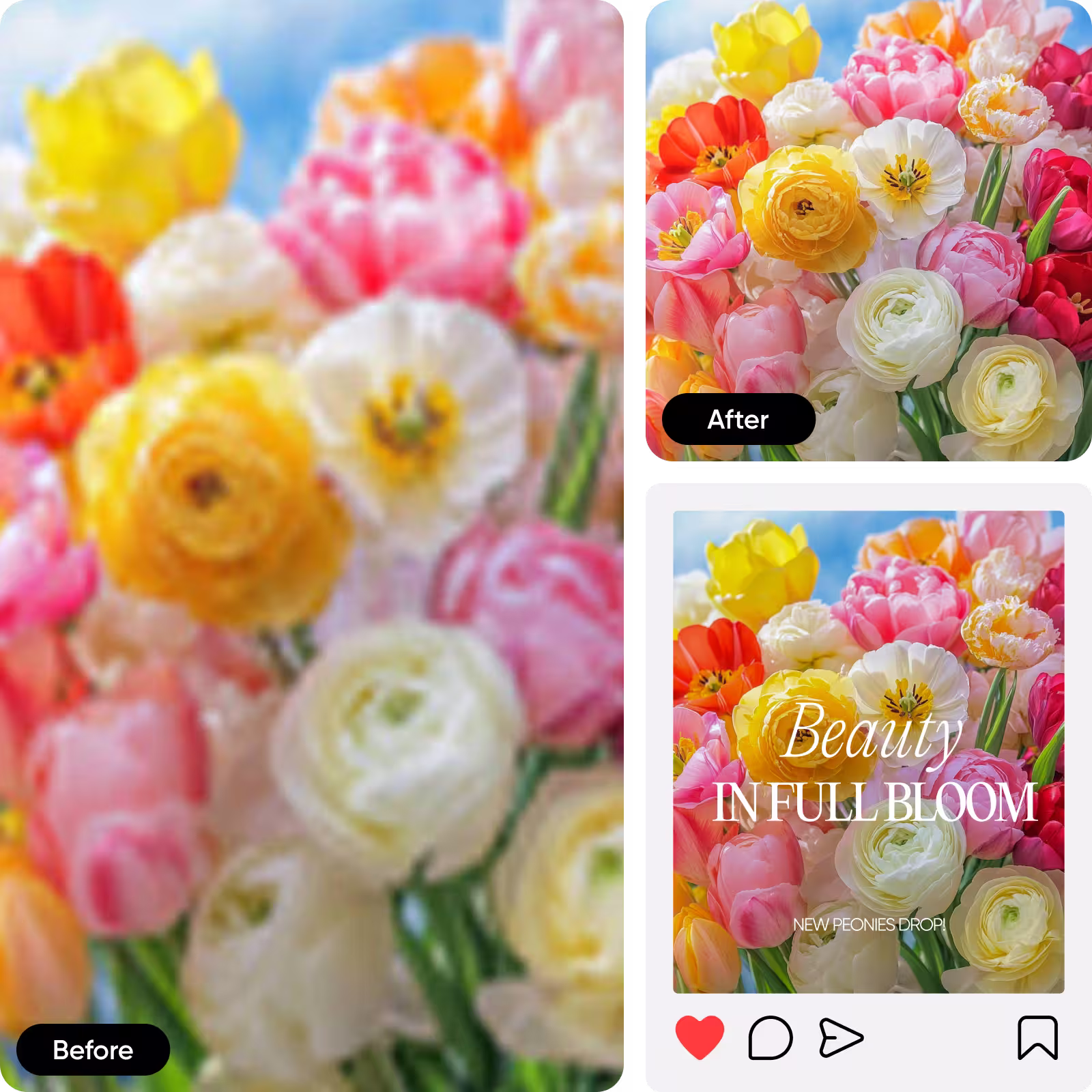 afbeeldingen online vergroten met Picsart