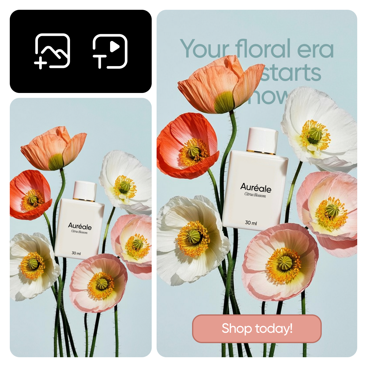 Animation generator for social media and marketing