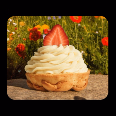 нова позадина